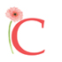 coral letter