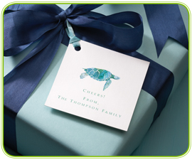 sea turtle tag