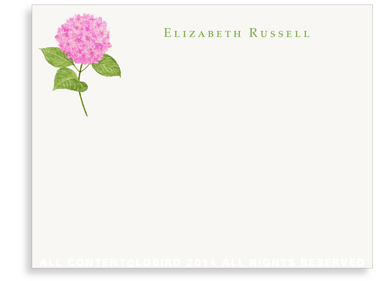 Pink Hydrangea