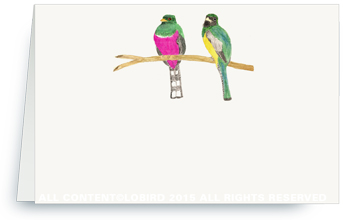 bird pair - pink and green
