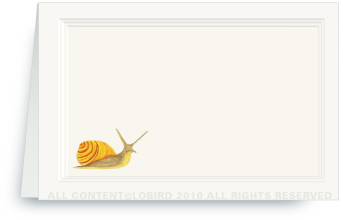 snail