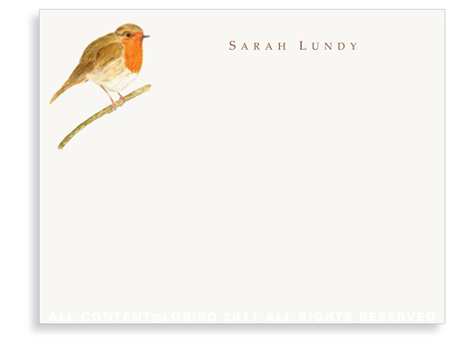 scarlet tanager bird
