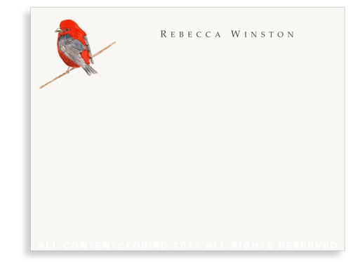 scarlet tanager bird