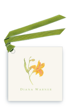 Peruvian Lily