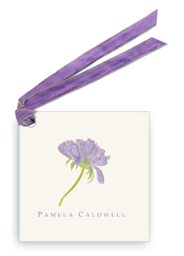Purple Pincushion