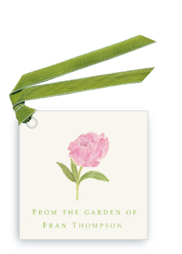 Pink Peony