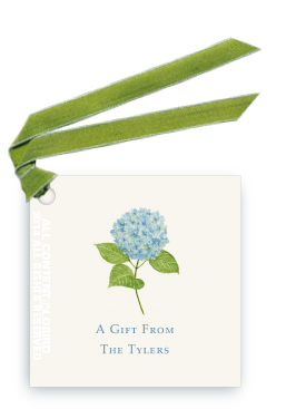blue Hydrangea