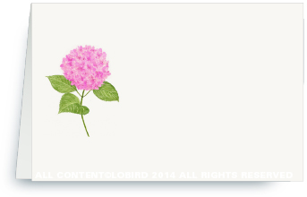 Pink Hydrangea