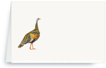 Wild Turkey