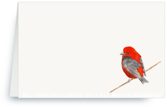 Scarlet Tanager
