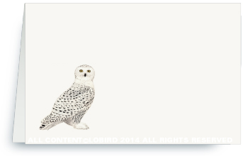 snowy owl