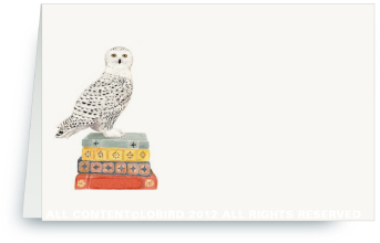 snowy owl