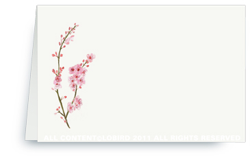 Cherry Tree Blossom