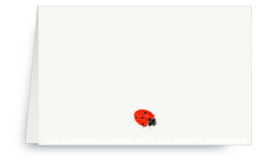 lady bug