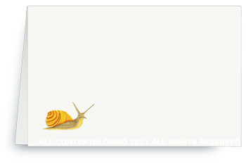 snail