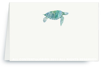 Sea Turtle