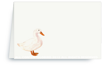 White Duck
