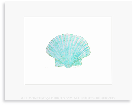 Aqua Green Scallop Sea Shell