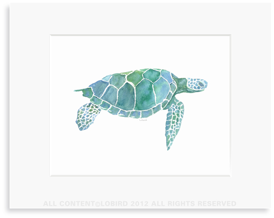Sea Turtle