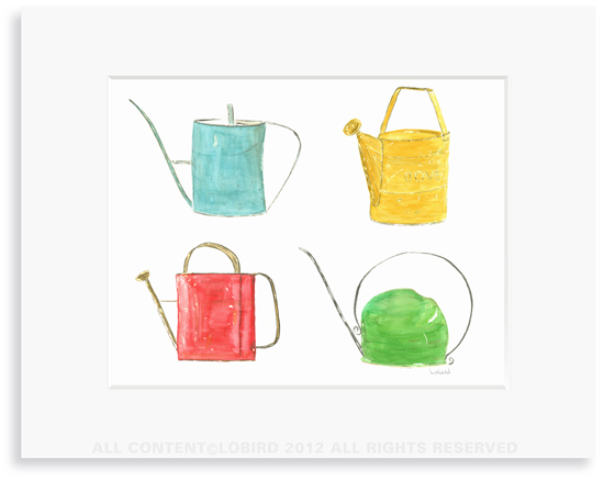 Vintage Watering Can Collection