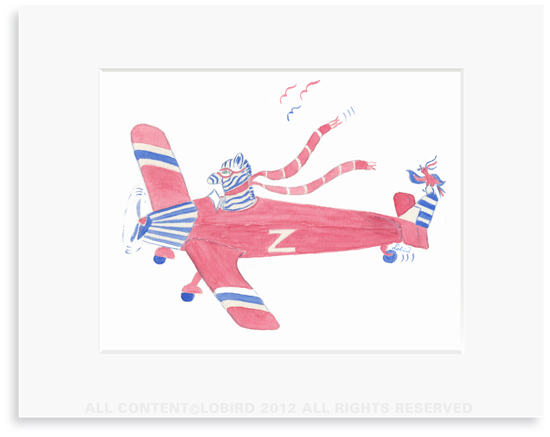 Zebra Flying Plane