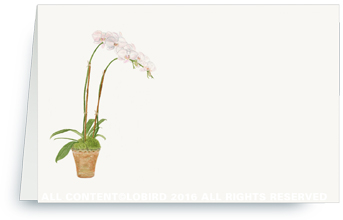 white orchid placecard