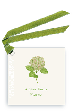 Green Hydrangea